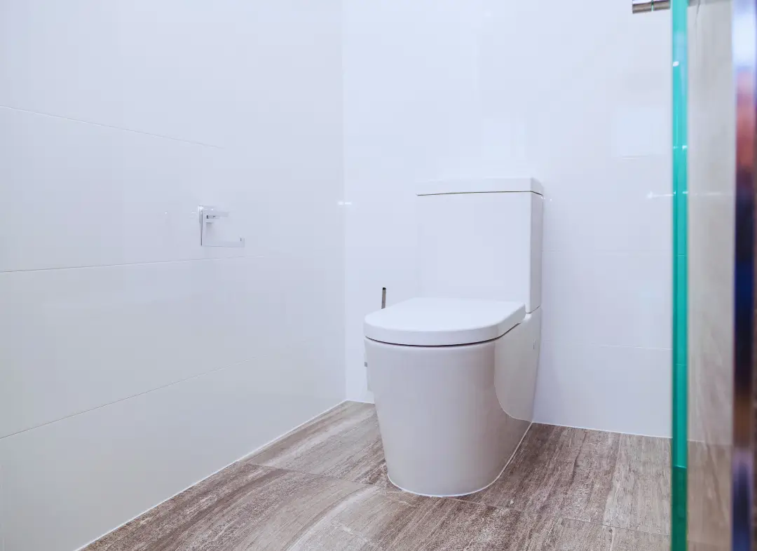 Remplacement de wc Monnaie